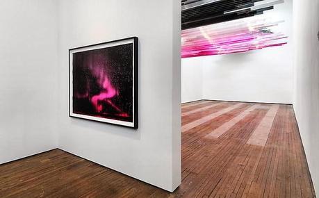 see | art installation