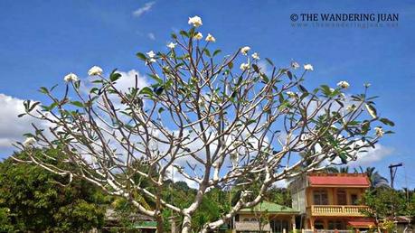 The Untouched Natural Wonders of Catanduanes