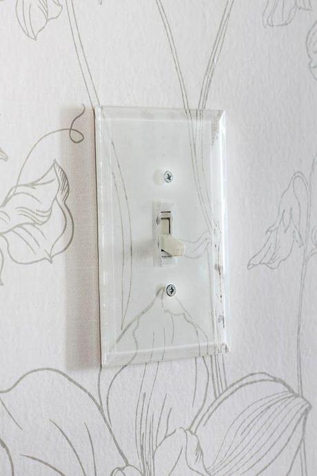 beveled glass switch plate 