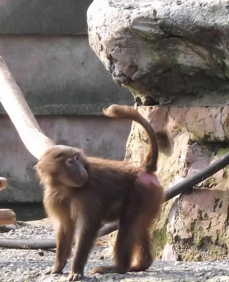 Our Day...At The Zoo!
