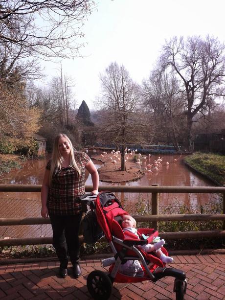 Our Day...At The Zoo!