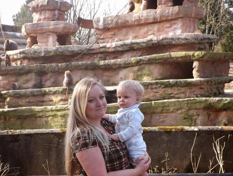 Our Day...At The Zoo!