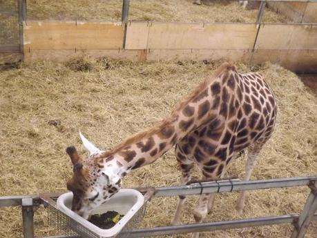 Our Day...At The Zoo!