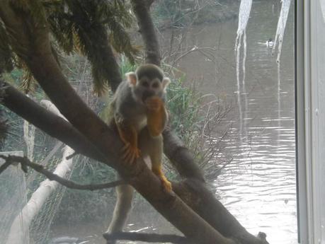 Our Day...At The Zoo!