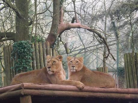 Our Day...At The Zoo!
