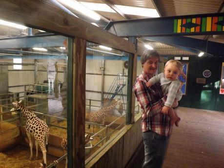Our Day...At The Zoo!