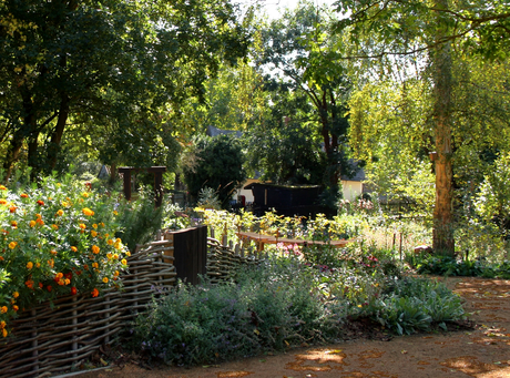 Garden designer interview: Catherine Heatherington
