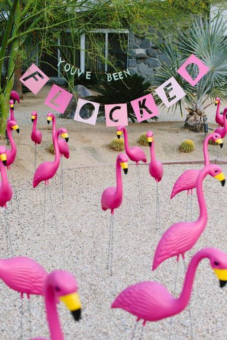 You've been flocked April Fool's prank