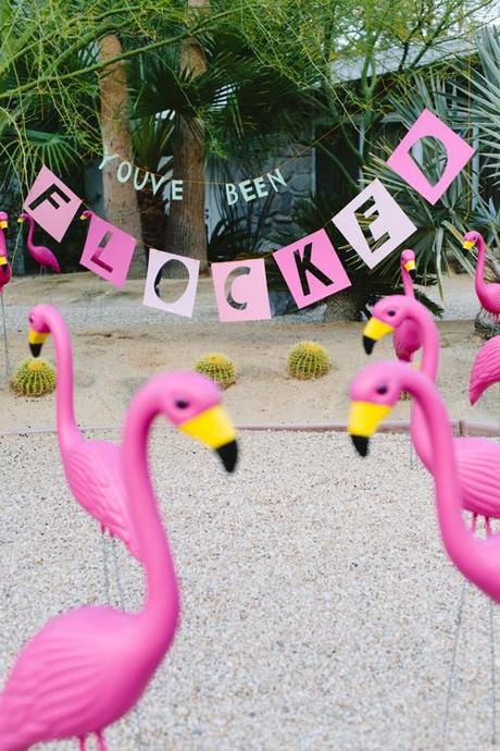 April Fool's Day prank with flamingos