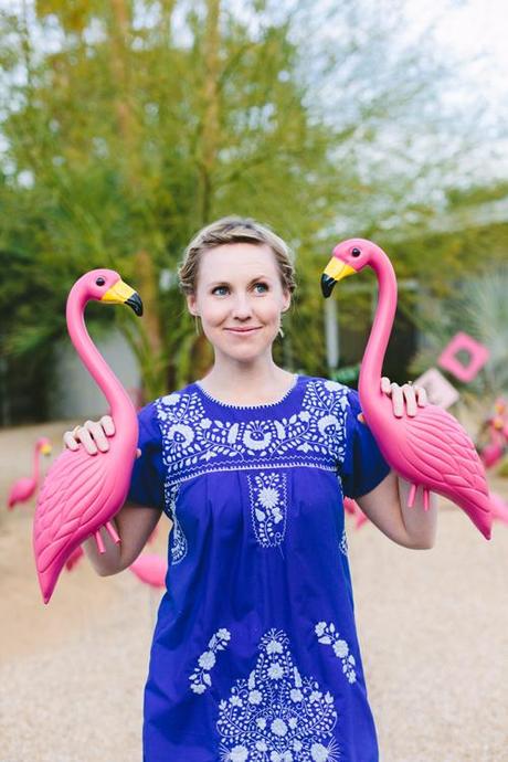 pink flamingos in someone's lawn