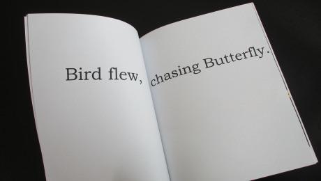 A Different Kind of Storybook For Early Readers – Bird and Butterfly