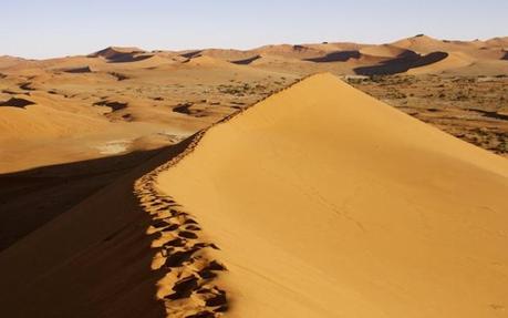 The view of Sossusvlei from the top of a dune.