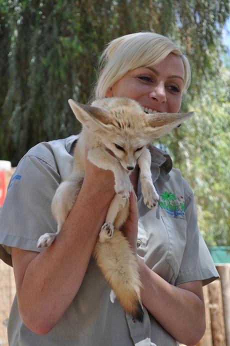 world wild life zoo phoenix