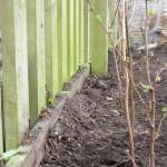 DIG, EXTRACT & PLANT A NATIVE HEDGE –  THE TRANSFORMATION CONTINUES