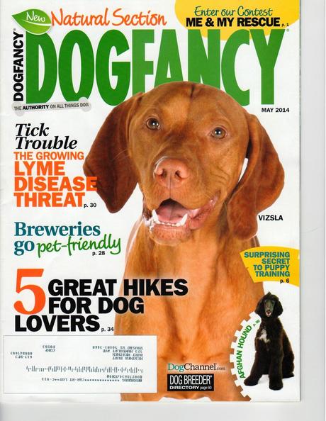 Dog Fancy Magazine - Great Hikes For Dog Lovers