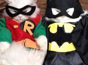 World’s Funniest Animals Dressed Batman