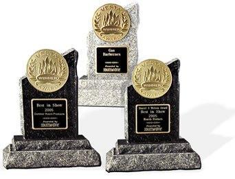 Dimplex Fireplace Wins Vesta Award at HPBExpo vesta awards