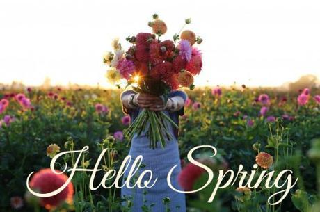 hello spring