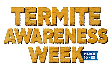 SPRING Into Action to Protect Your Home: Termite Awareness Week, March 16-22