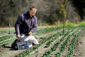 Farmer Steven Walter