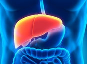 Restoring Liver Function with LCHF?