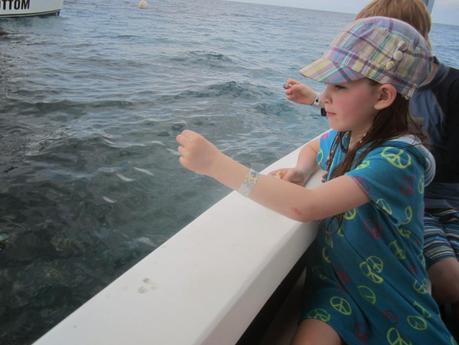Family Fun - Oasis at Sunset: Montego Bay, Jamaica