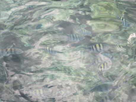 Family Fun - Oasis at Sunset: Montego Bay, Jamaica