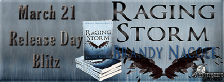 Raging Storm by Brandy Nacole: Book Blitz