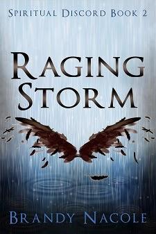 Raging Storm by Brandy Nacole: Book Blitz