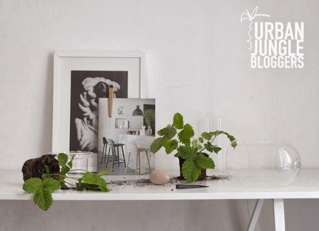 URBAN JUNGLE BLOGGERS | Visual Box