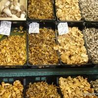 Selection of Mushrooms (4)