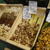 Selection of Mushrooms (3)