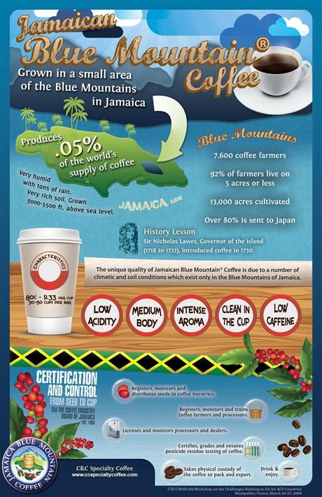 Why Jamaican Blue Mountain Coffee is Unique Infographic