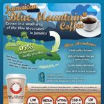 Flavors of Jamaican Blue Coffee Infographic