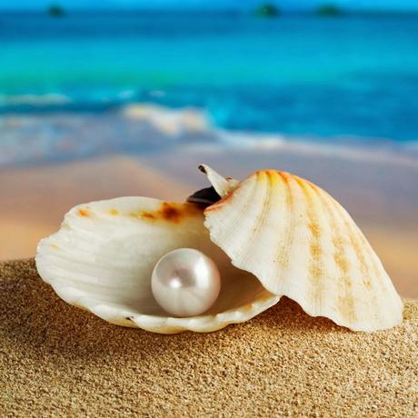 Let go of that shell and come!