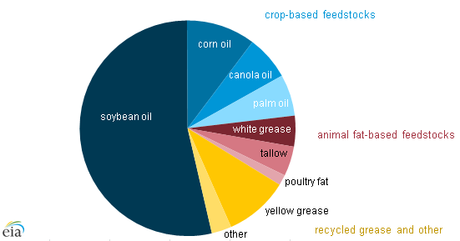 Major biodiesel feedstocks, 2013