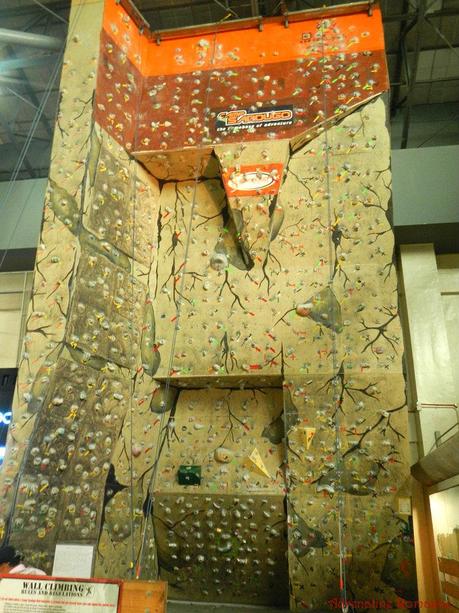 Camp Sandugo Climbing Wall