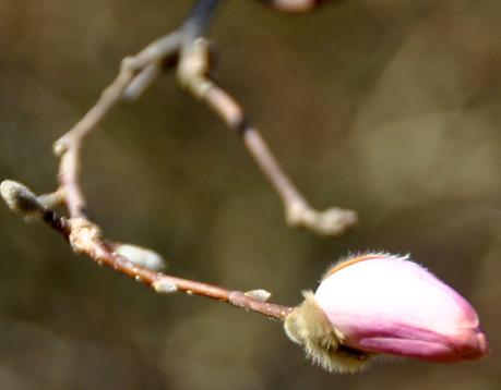 Messages from the First Day of Spring