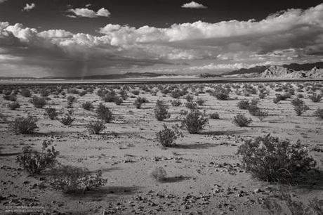 STOP the Proposed Silurian Valley Wind/Solar Project!