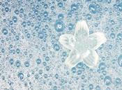 “How Spot Damp Remedy Excess Moisture Within Your Home” Martin Davies