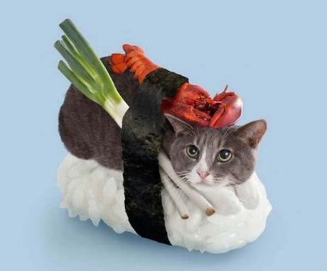 The World’s Top 10 Best Images of Cats Dressed as Food