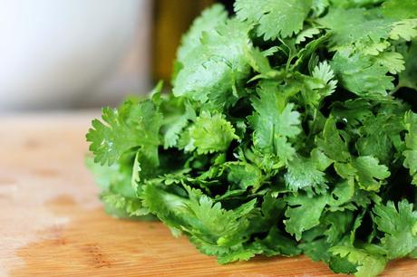 bunch of cilantro