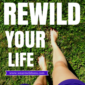 Rewild Your Life: Installment #1