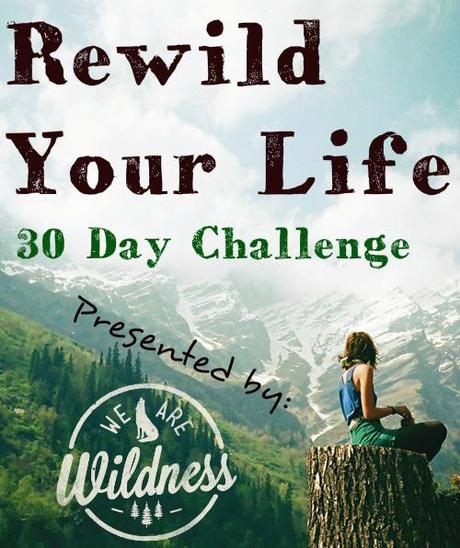 Rewild Your Life: Installment #1