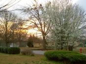 Creation Grace: Dawn