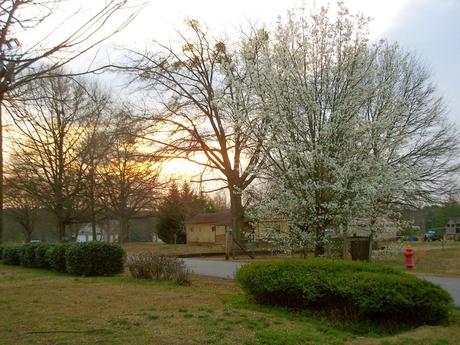 Creation Grace: Dawn and the Sun