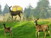 Move Your Marketing From Hunter Gardening