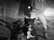 Music: Listen OVO’s Newest Member Jimmy Johnson “Pray”!