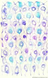 The variation 1 -rainbow