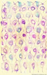 The variation 3- retro